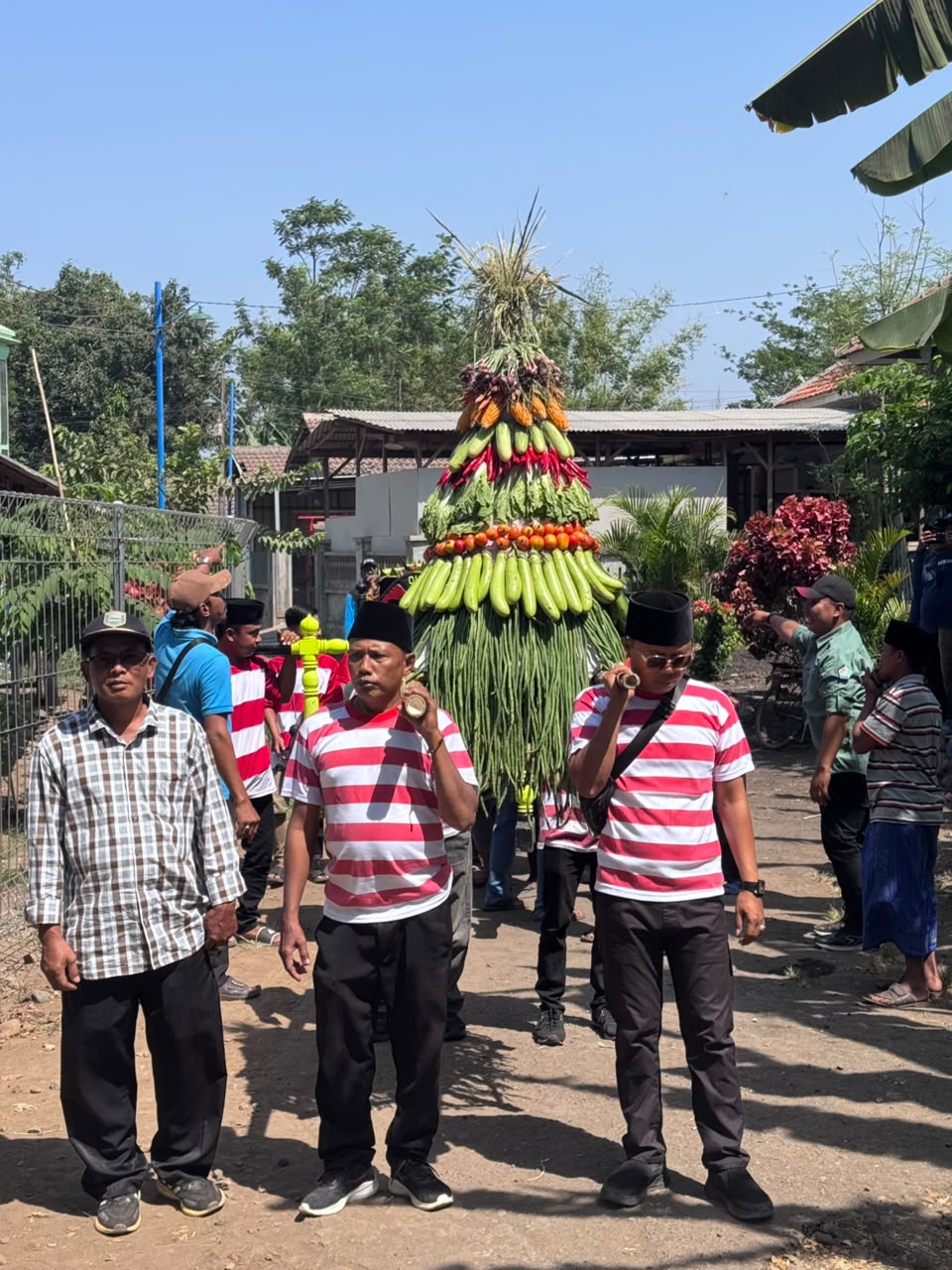 Ronggojalu Bersih, Budaya Lestari